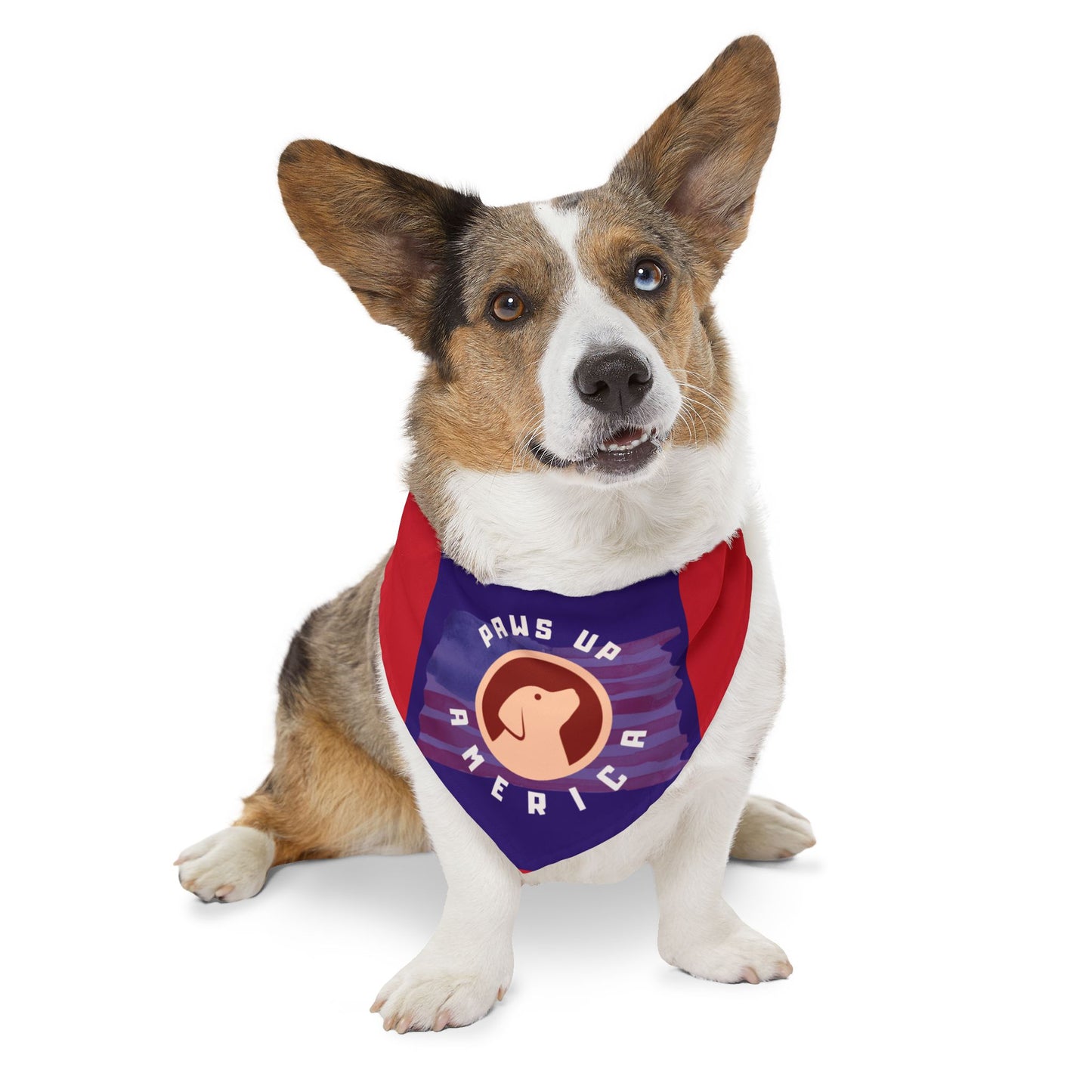 Paws Up America Pet - Bandana Collar