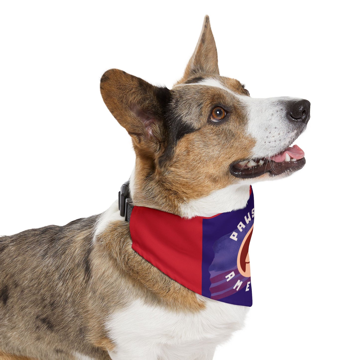 Paws Up America Pet - Bandana Collar