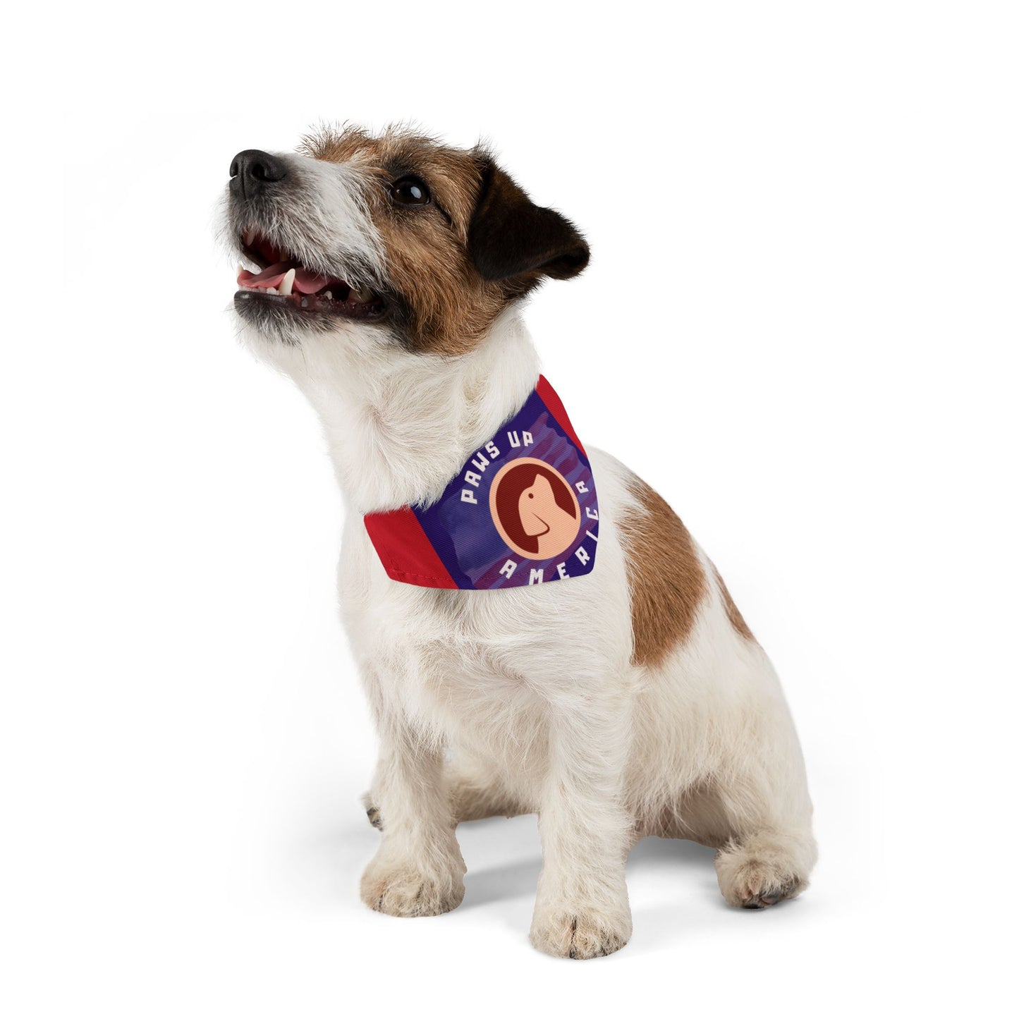 Paws Up America Pet - Bandana Collar