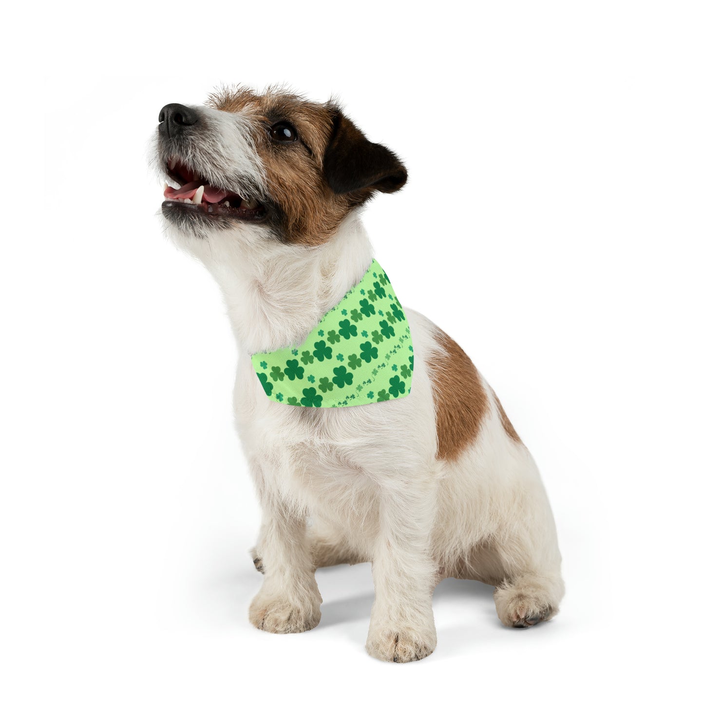 Shamrock - Pet Bandana Collar