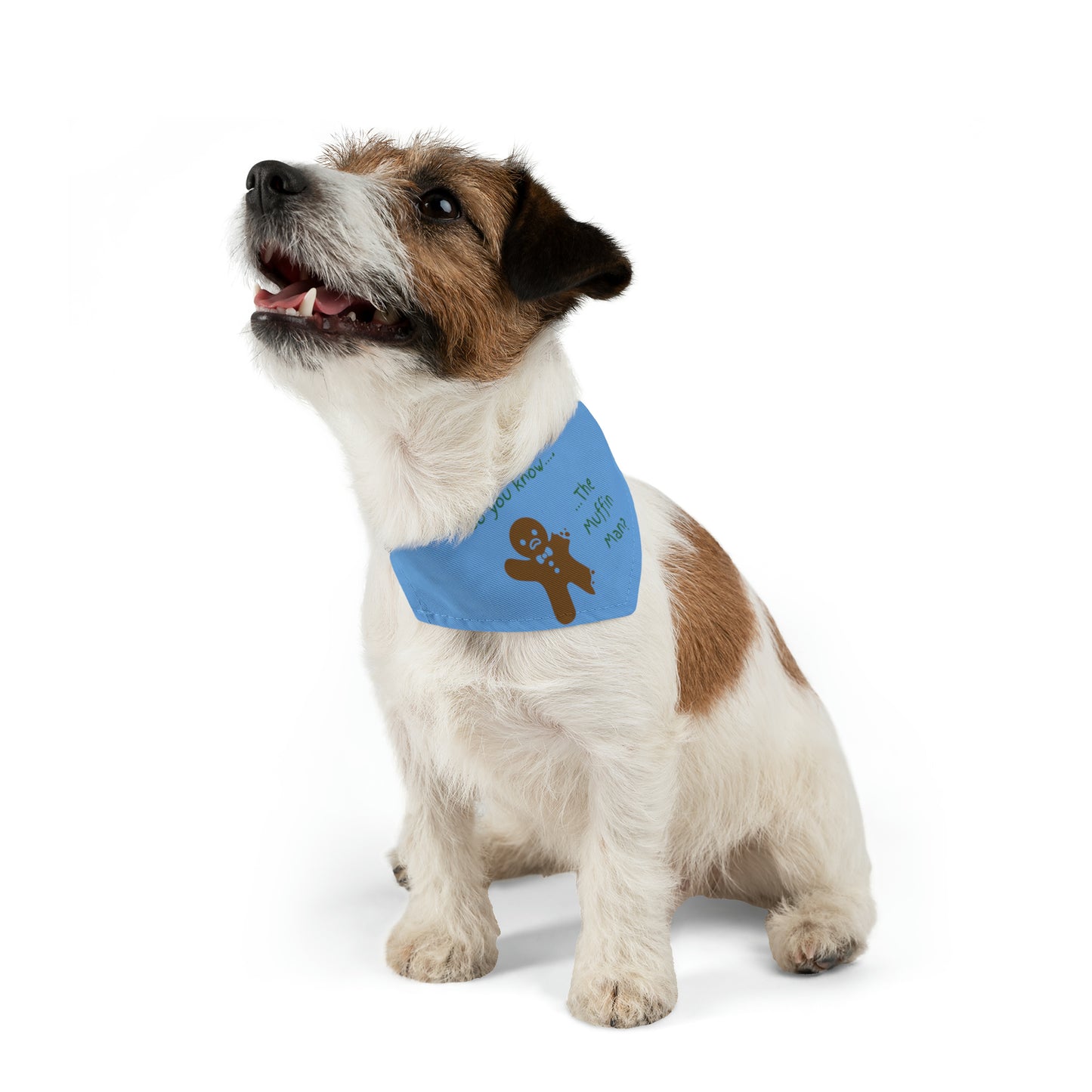 The Muffin Man - Pet Bandana Collar