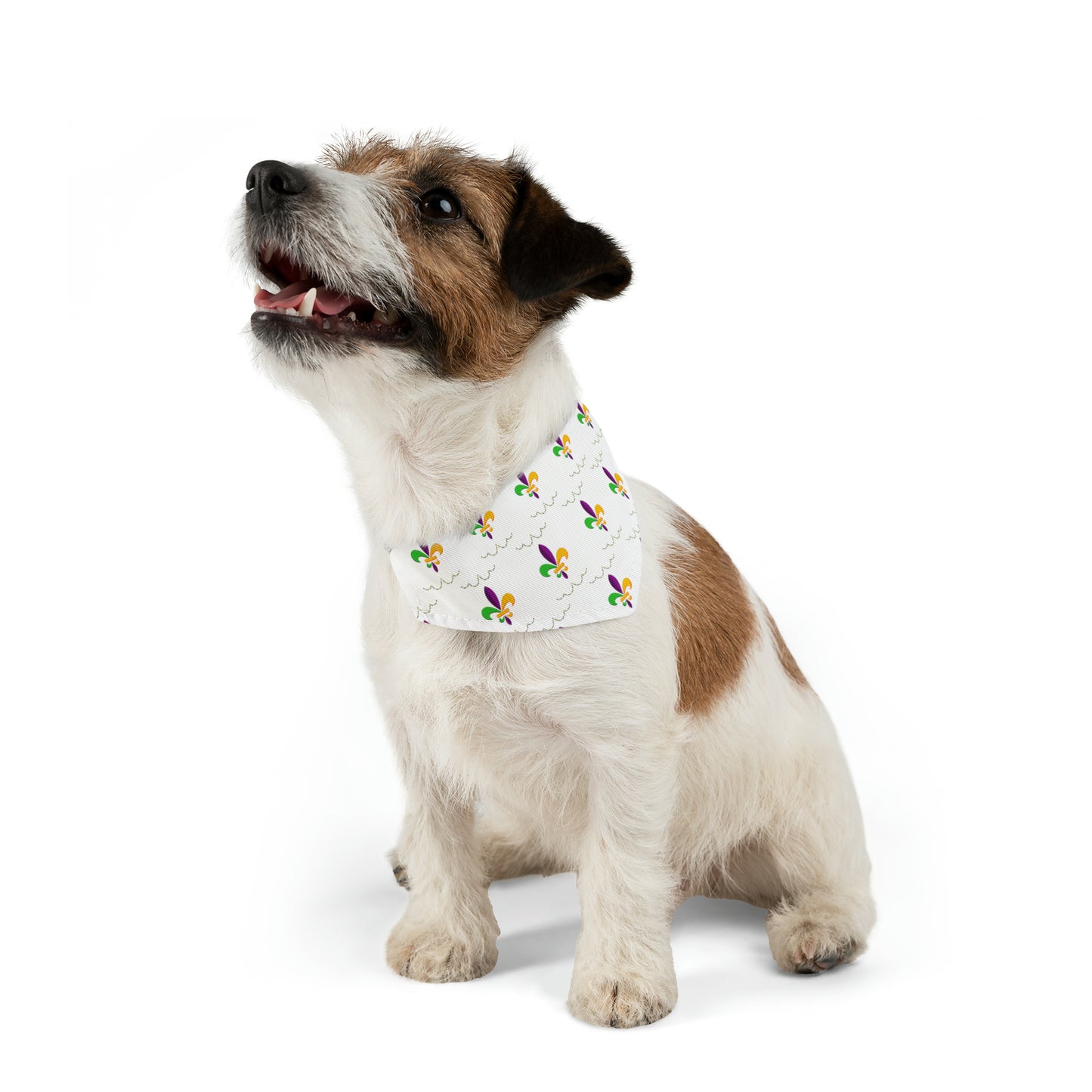 Mardi Gras - Pet Bandana Collar