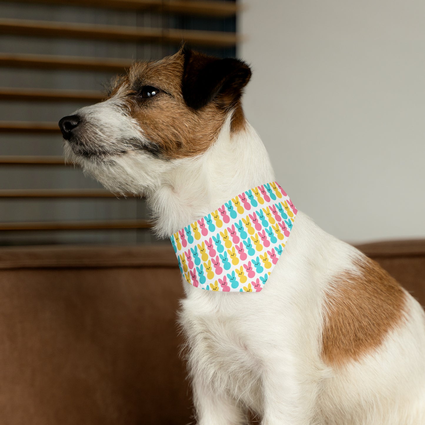 Bunny Peeps - Pet Bandana Collar