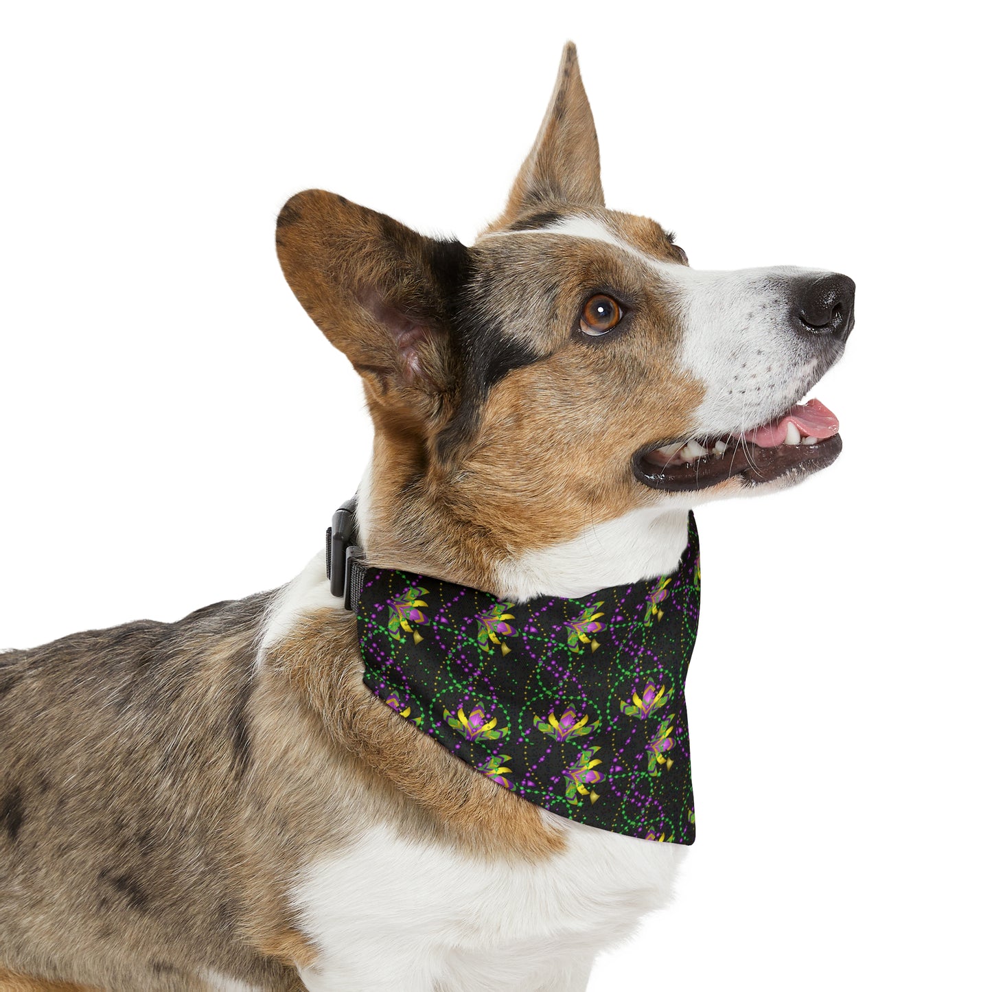 Mardi Gras Beads - Pet Bandana Collar