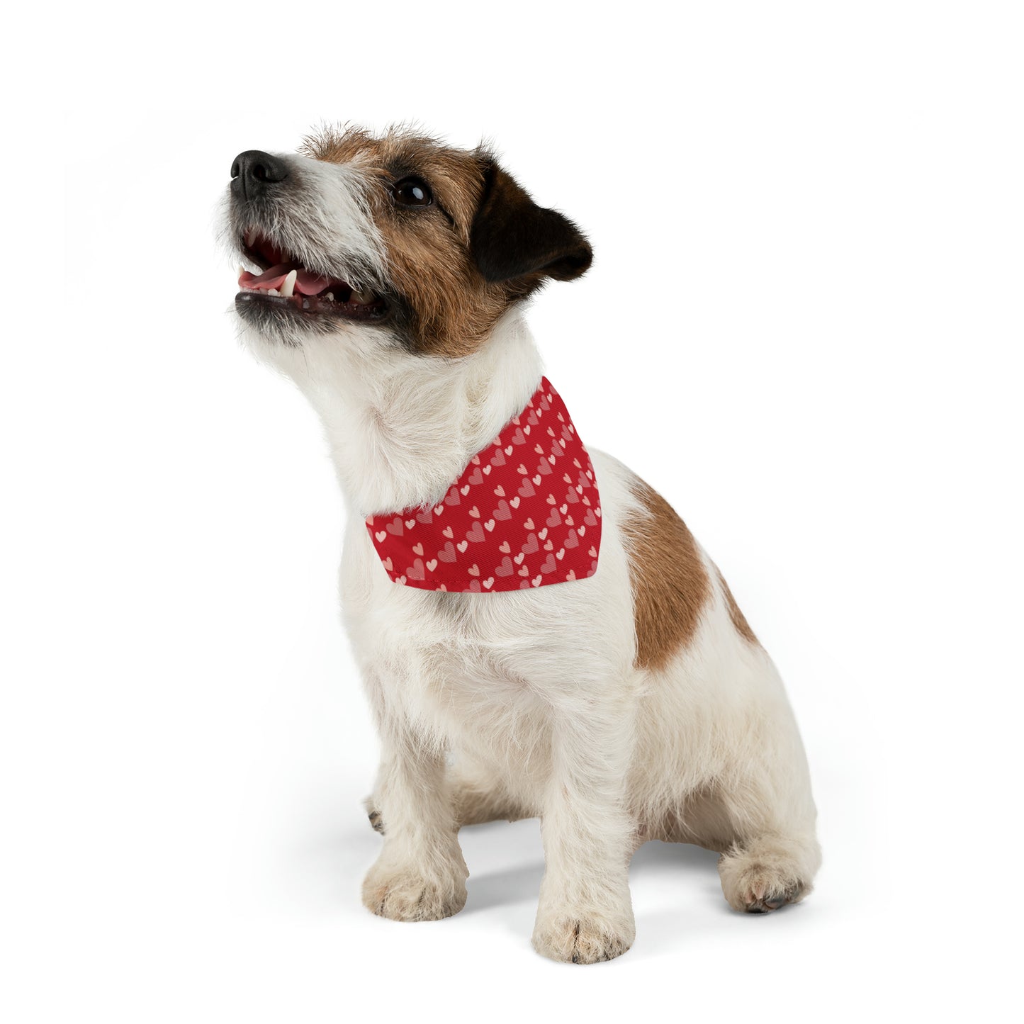 Valentines Hearts - Pet Bandana Collar