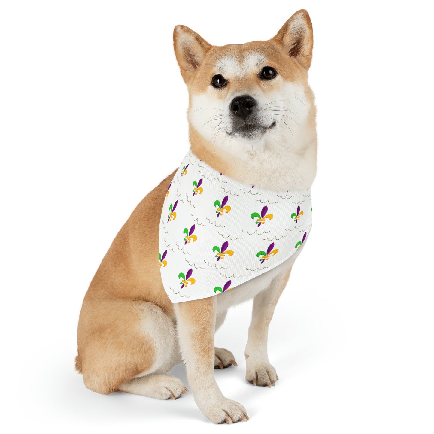 Mardi Gras - Pet Bandana Collar