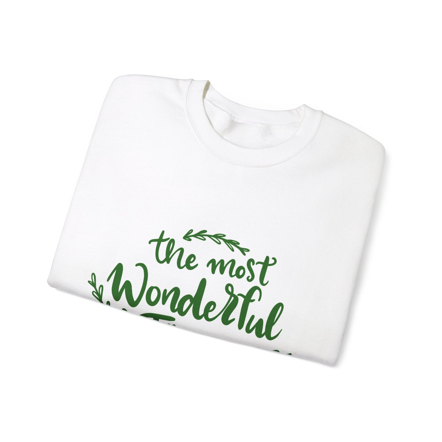 Most wonderful time of the year Sweatshirt