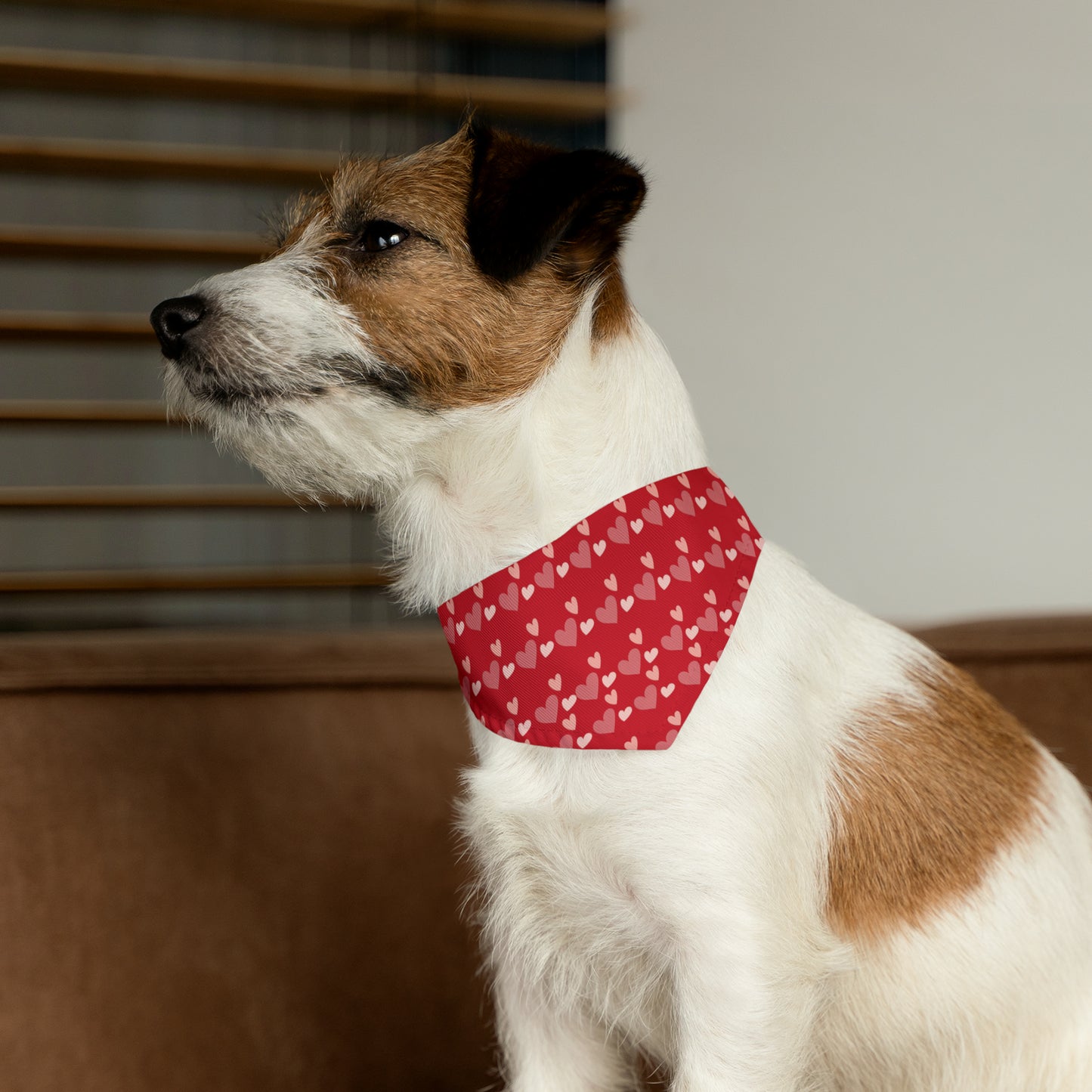 Valentines Hearts - Pet Bandana Collar