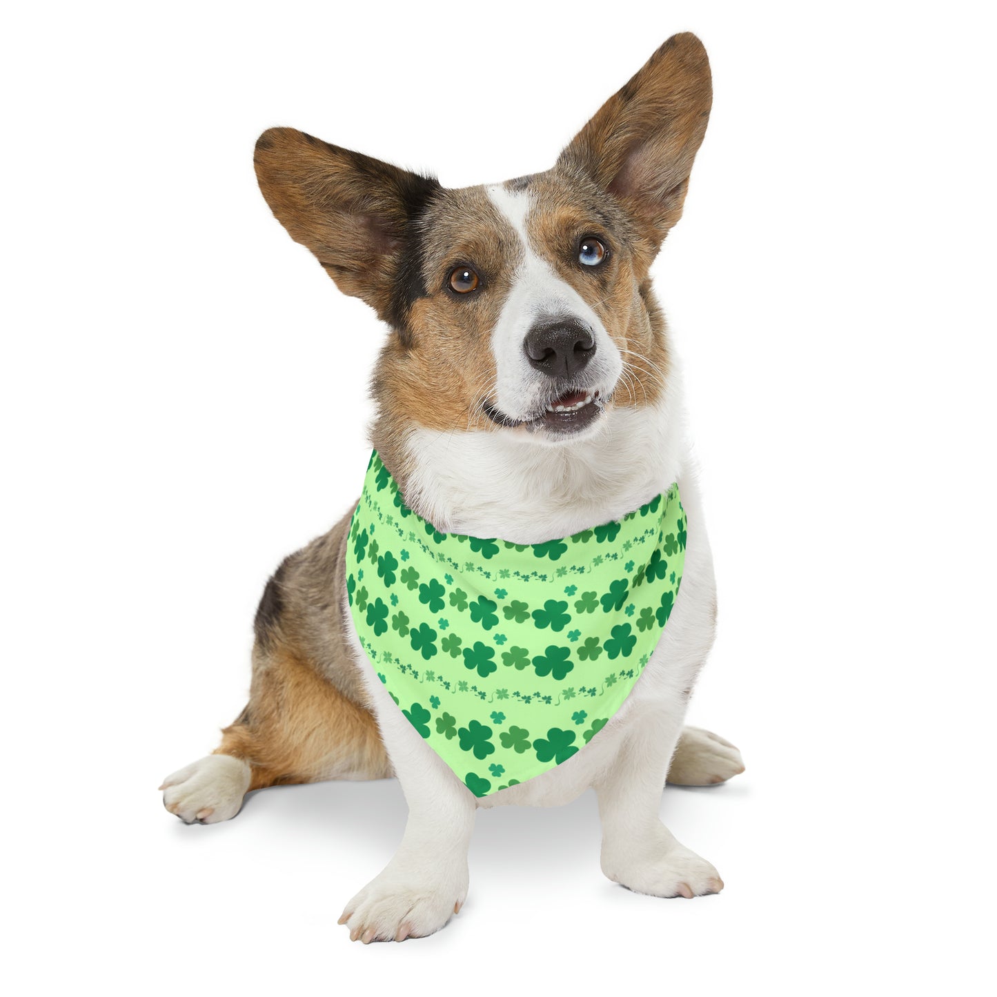 Shamrock - Pet Bandana Collar