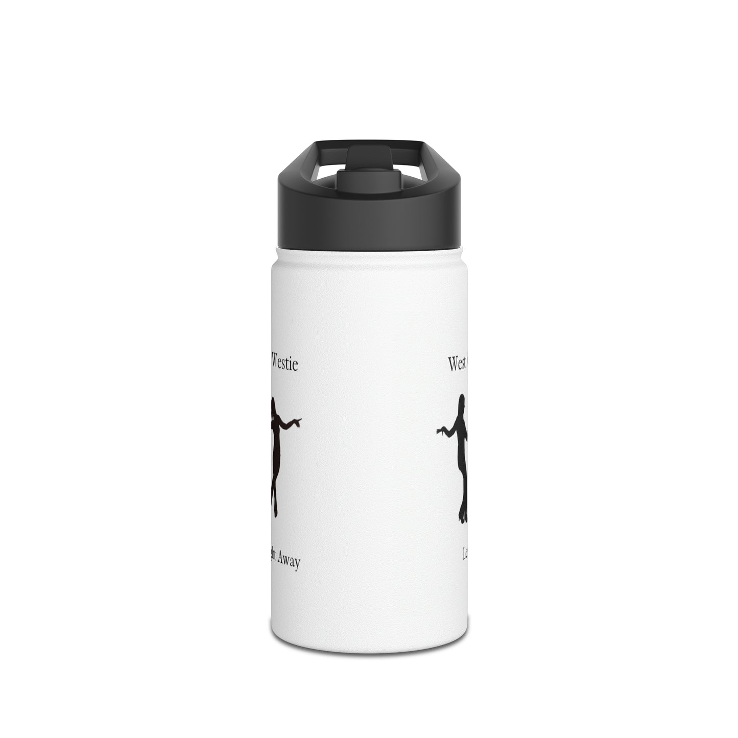 Stainless Steel Water Bottle, Standard Lid