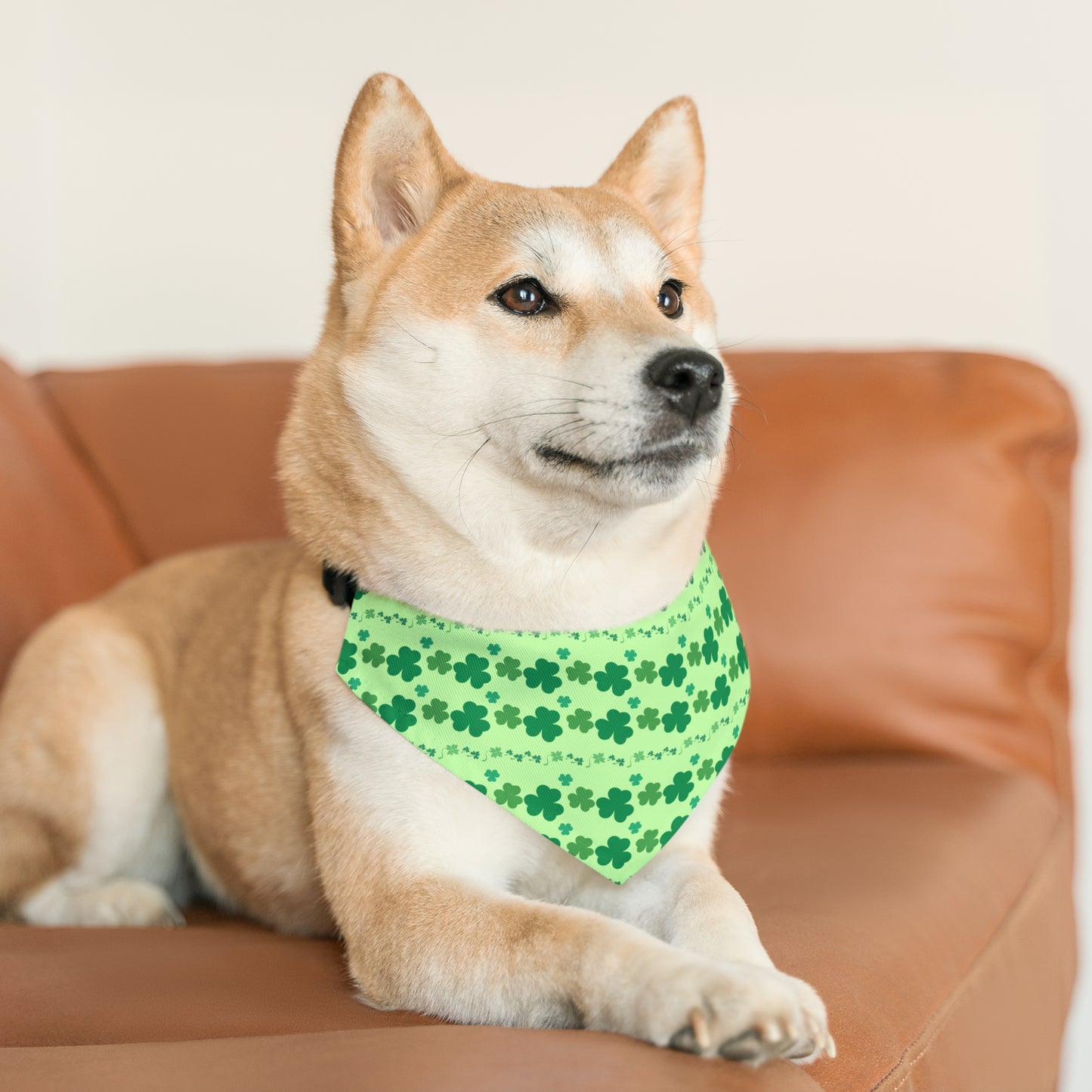 Shamrock - Pet Bandana Collar