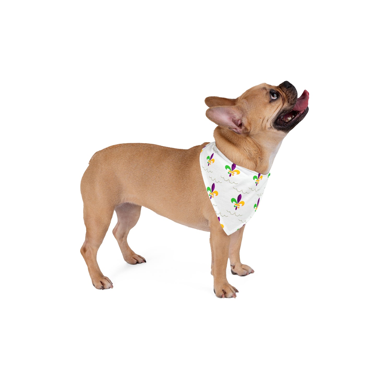 Mardi Gras - Pet Bandana