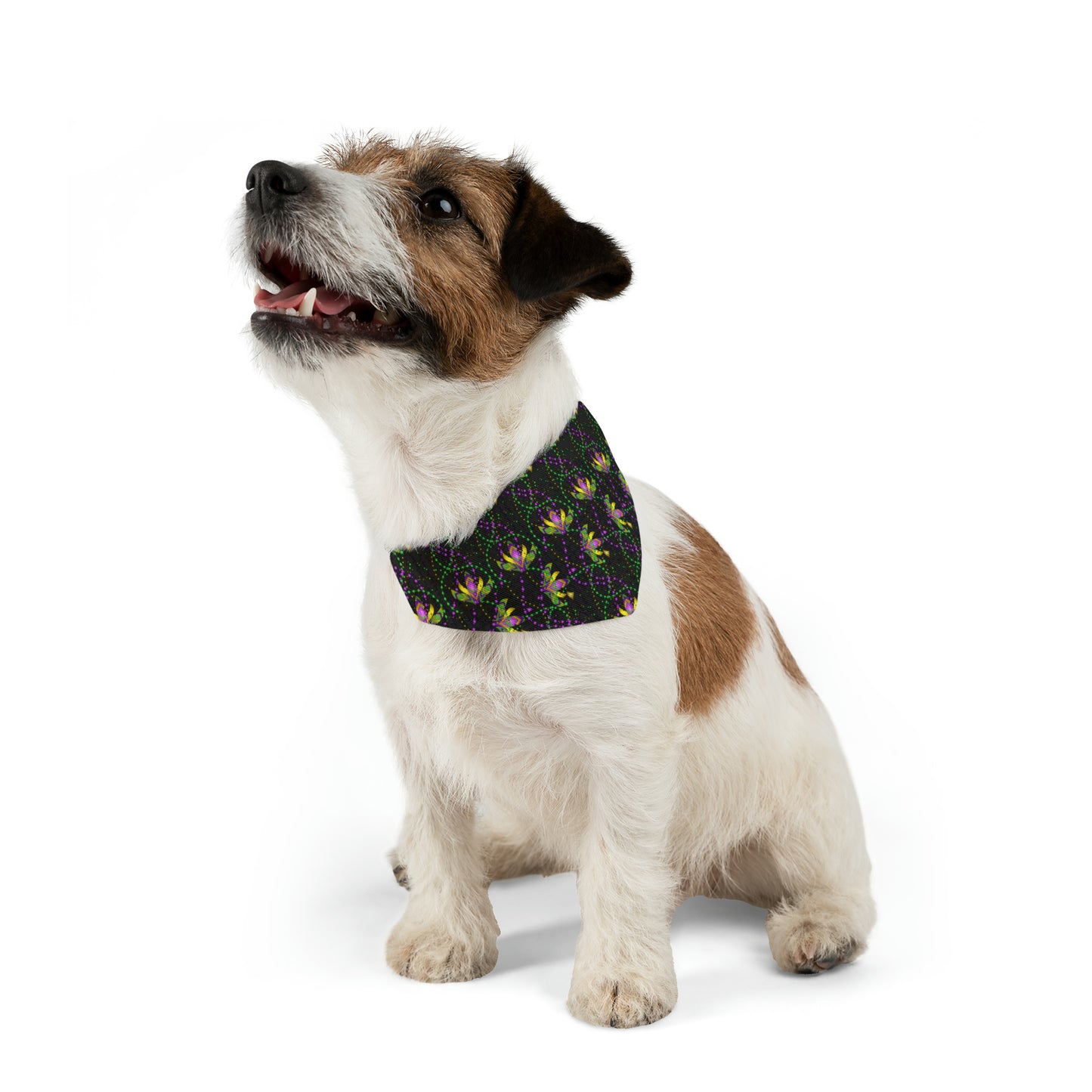 Mardi Gras Beads - Pet Bandana Collar