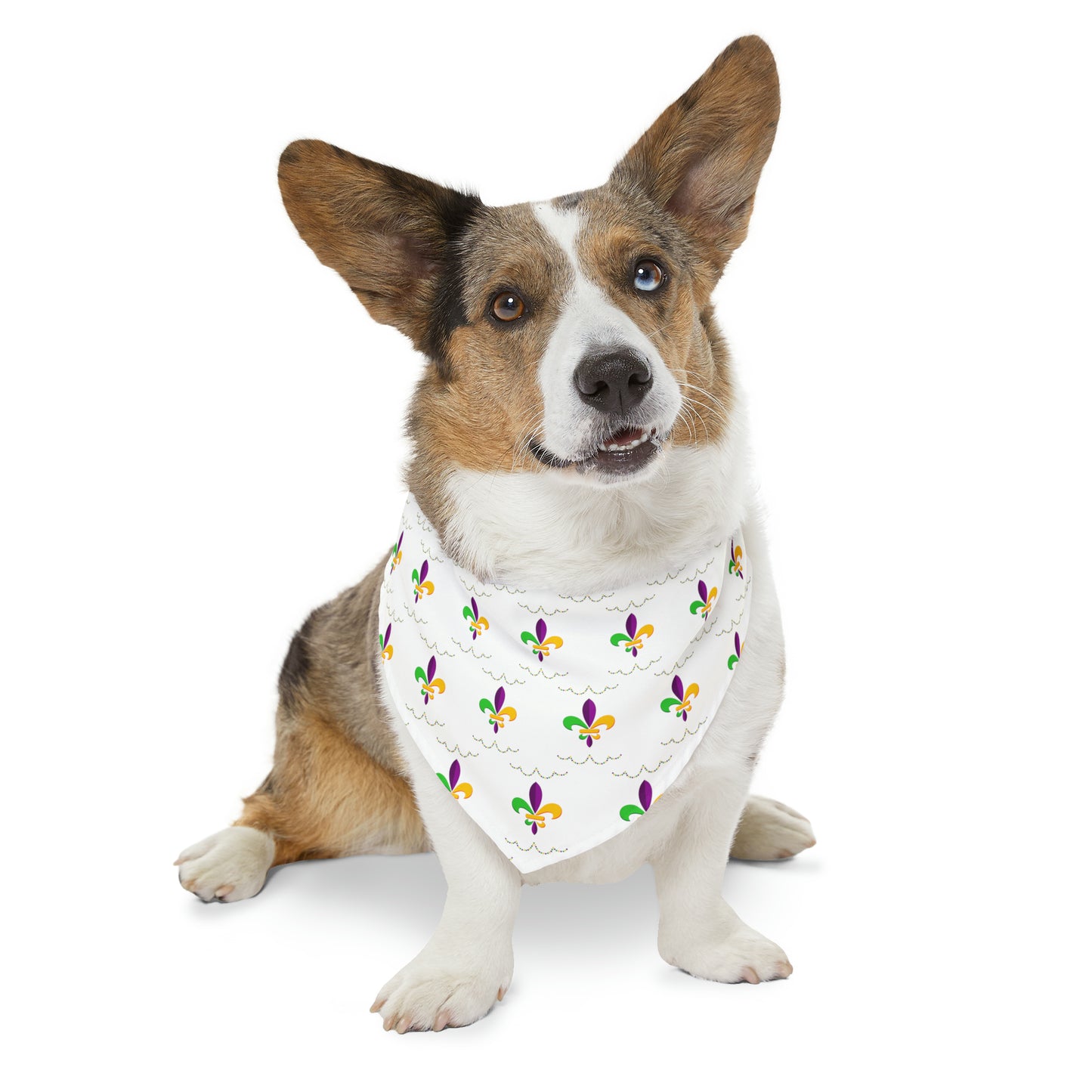 Mardi Gras - Pet Bandana Collar