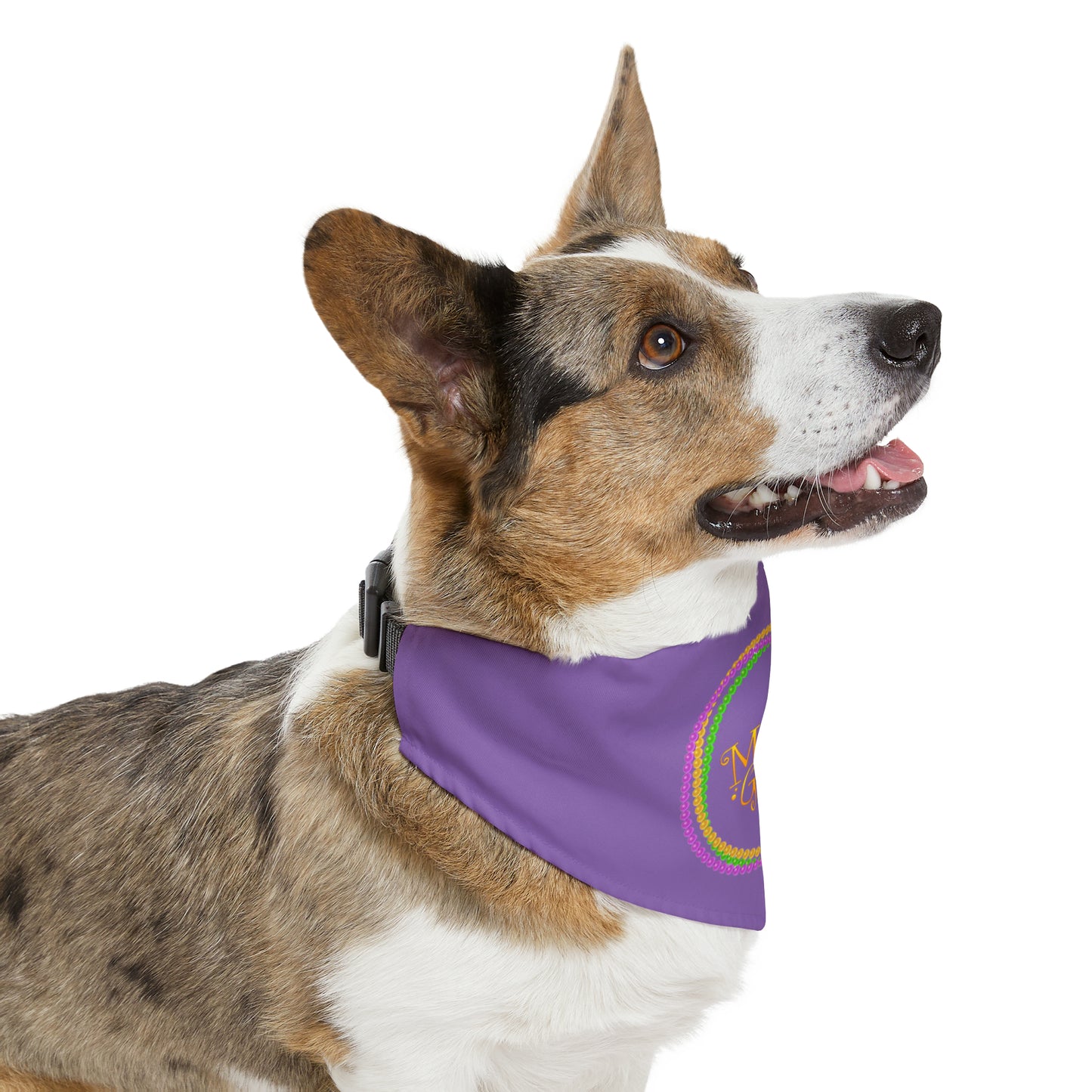 Mardi Gras Circle - Pet Bandana Collar