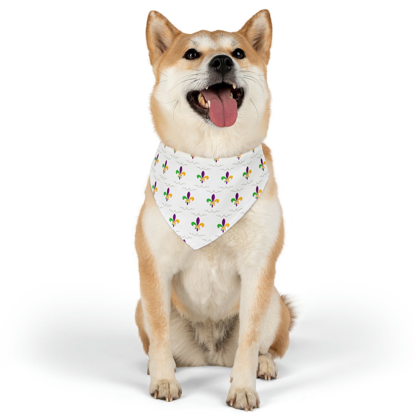 Mardi Gras - Pet Bandana Collar