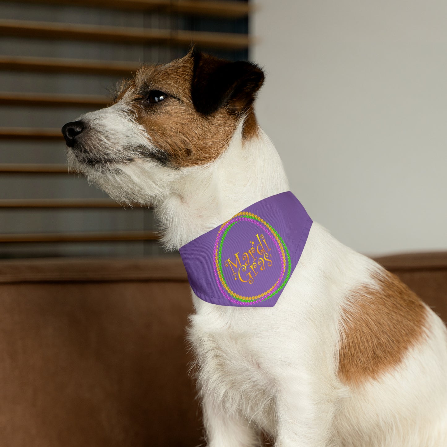 Mardi Gras Circle - Pet Bandana Collar