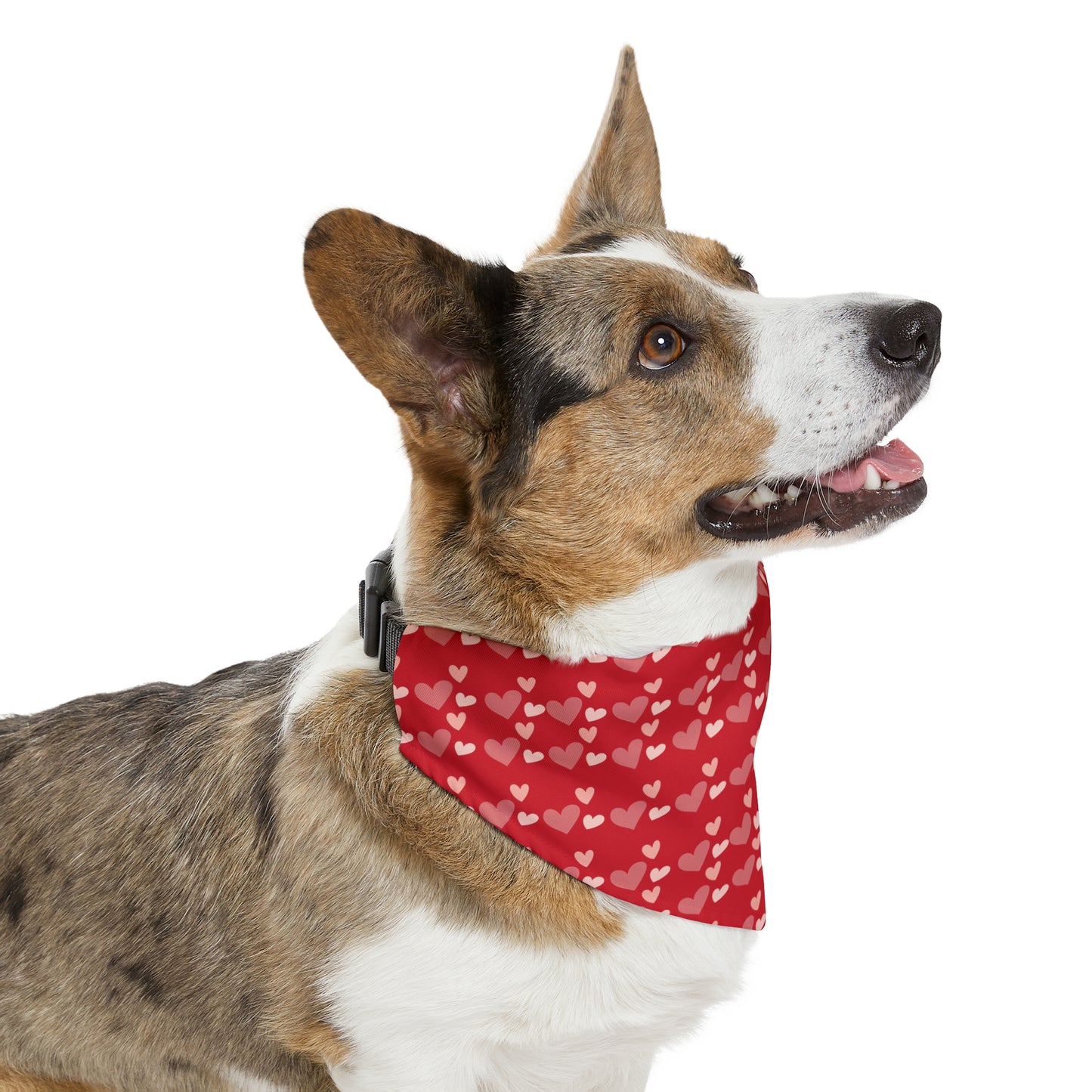 Valentines Hearts - Pet Bandana Collar