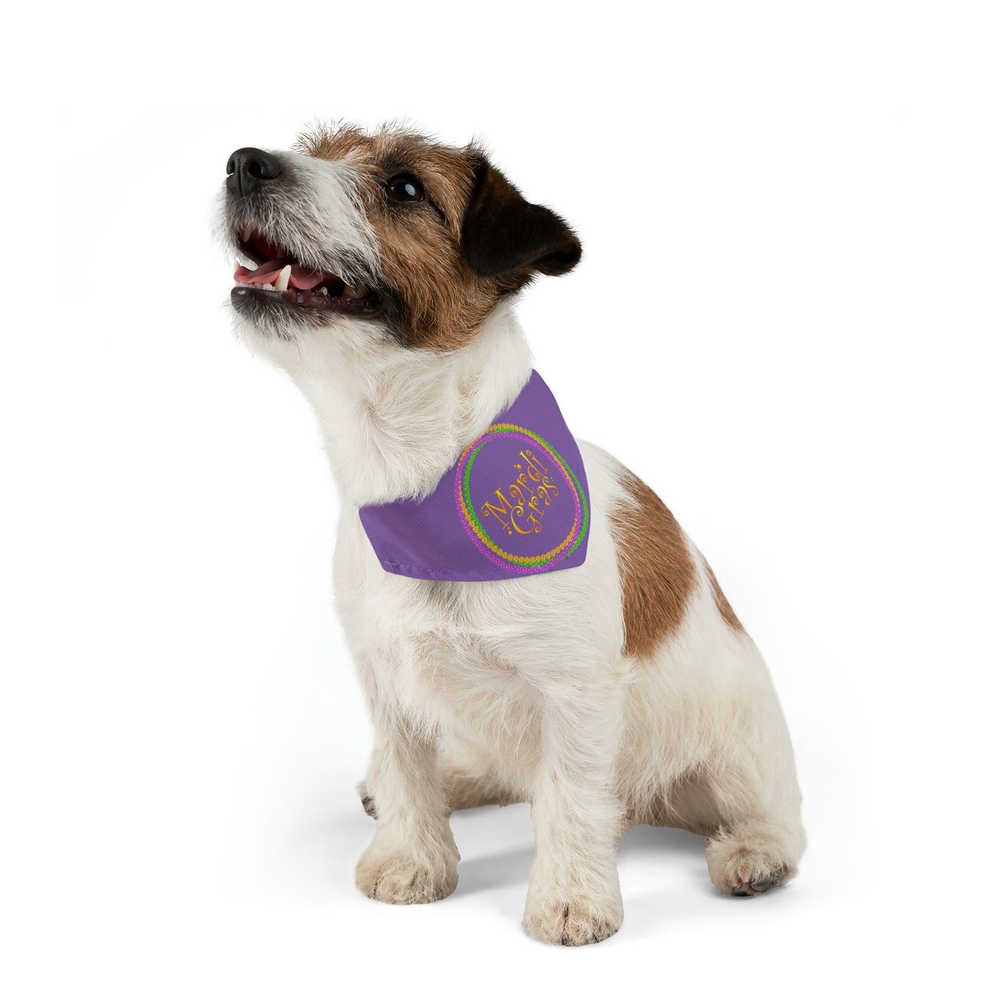 Mardi Gras Circle - Pet Bandana Collar