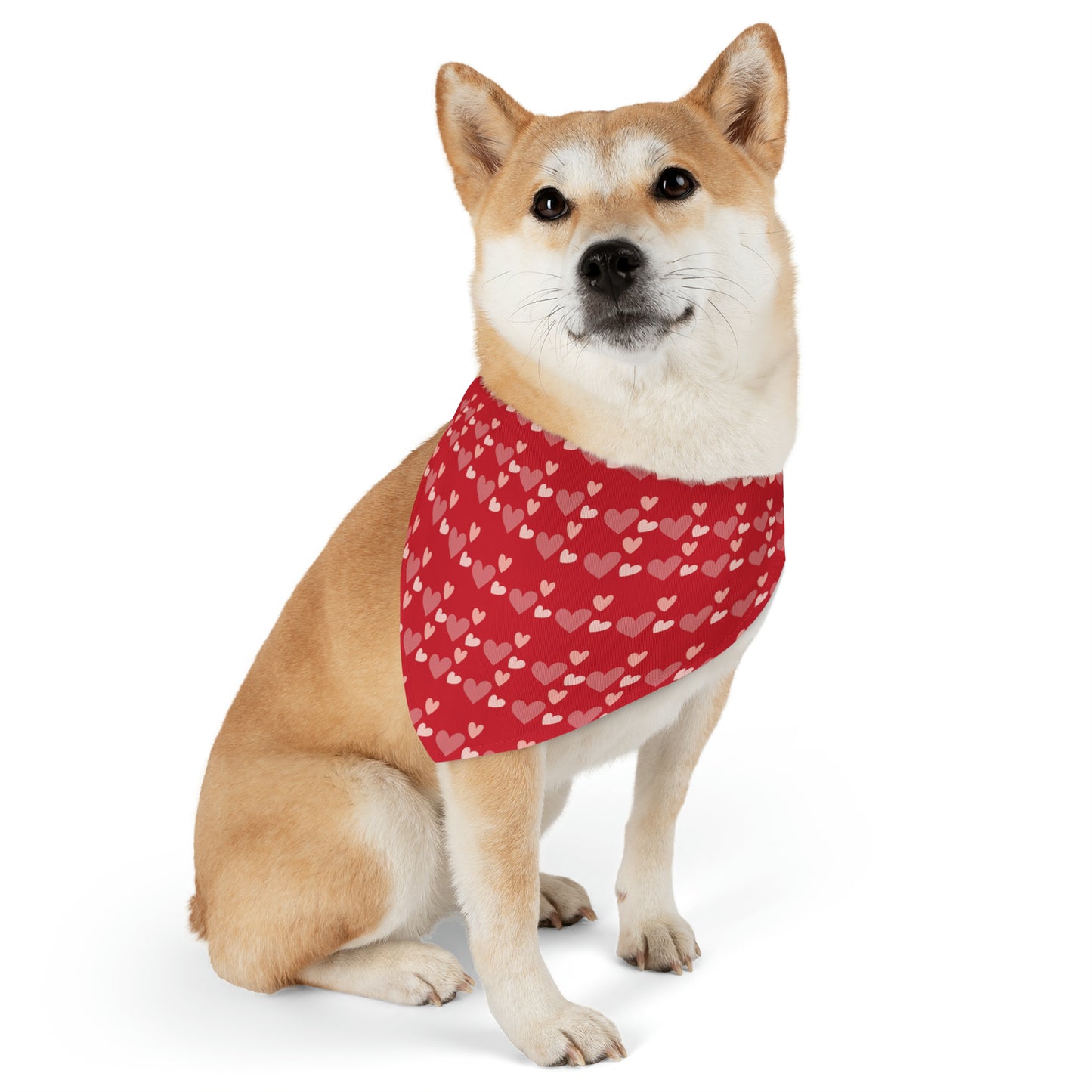 Valentines Hearts - Pet Bandana Collar