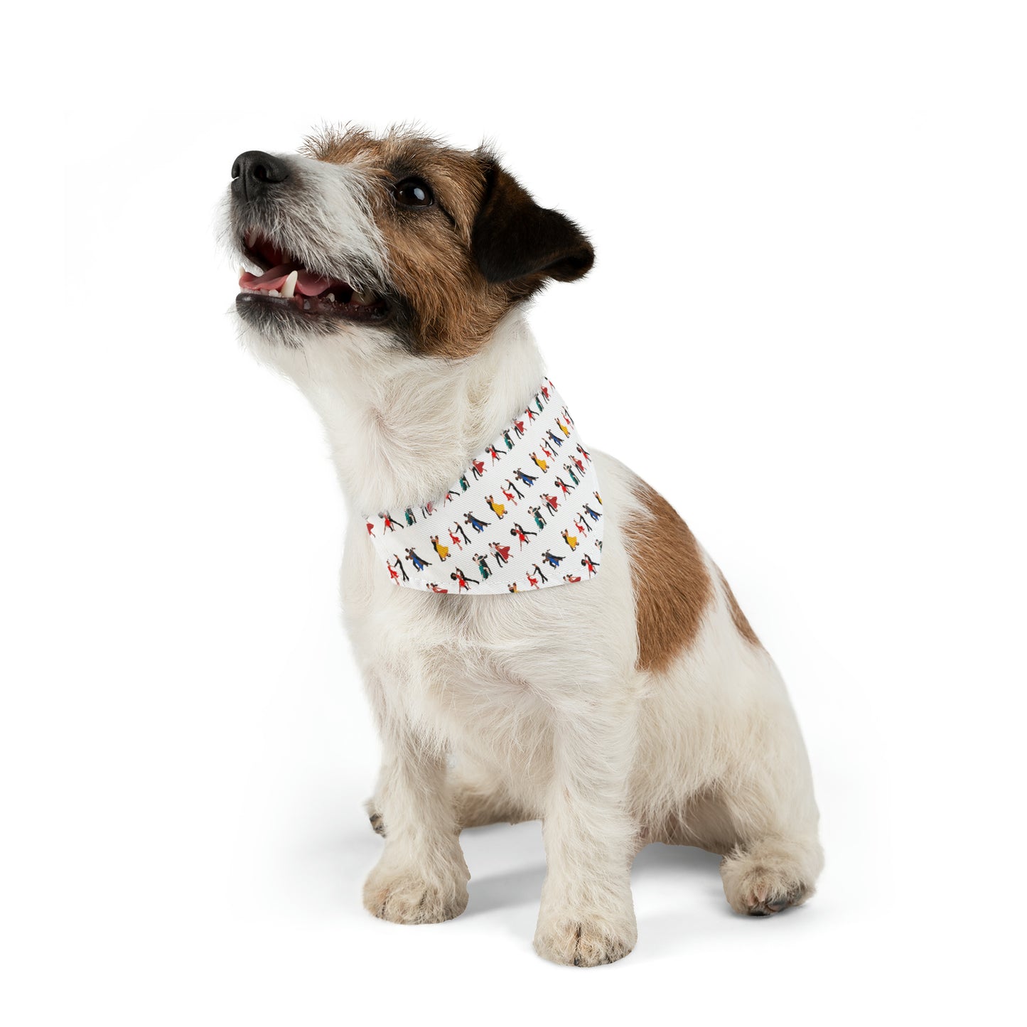 Ballroom Dancing - Pet Bandana Collar