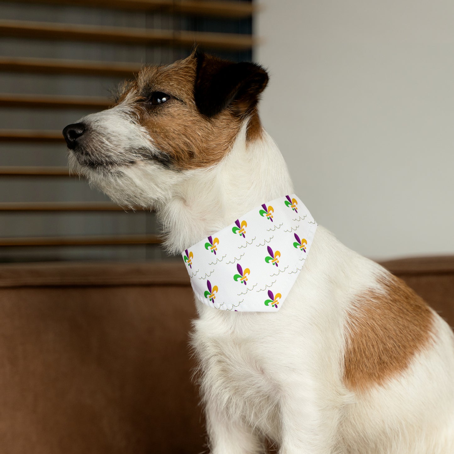 Mardi Gras - Pet Bandana Collar