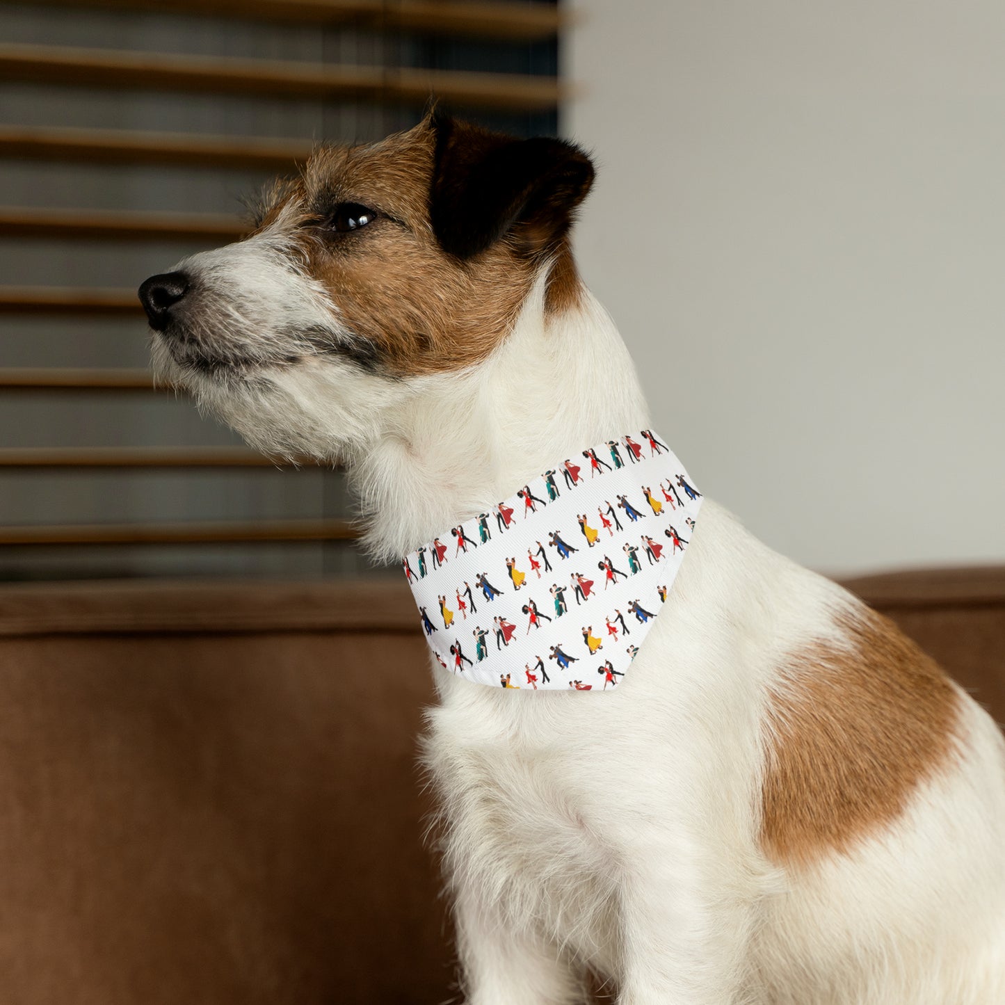 Ballroom Dancing - Pet Bandana Collar