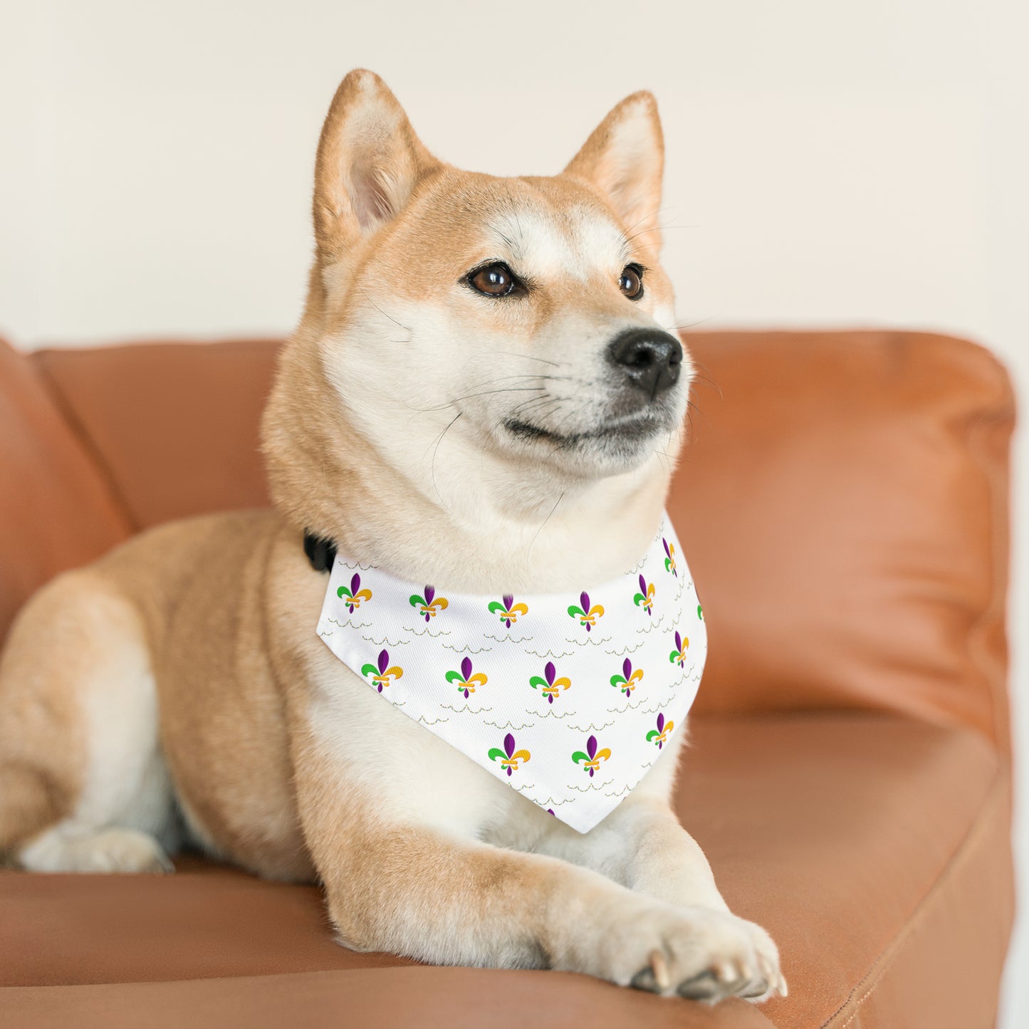 Mardi Gras - Pet Bandana Collar