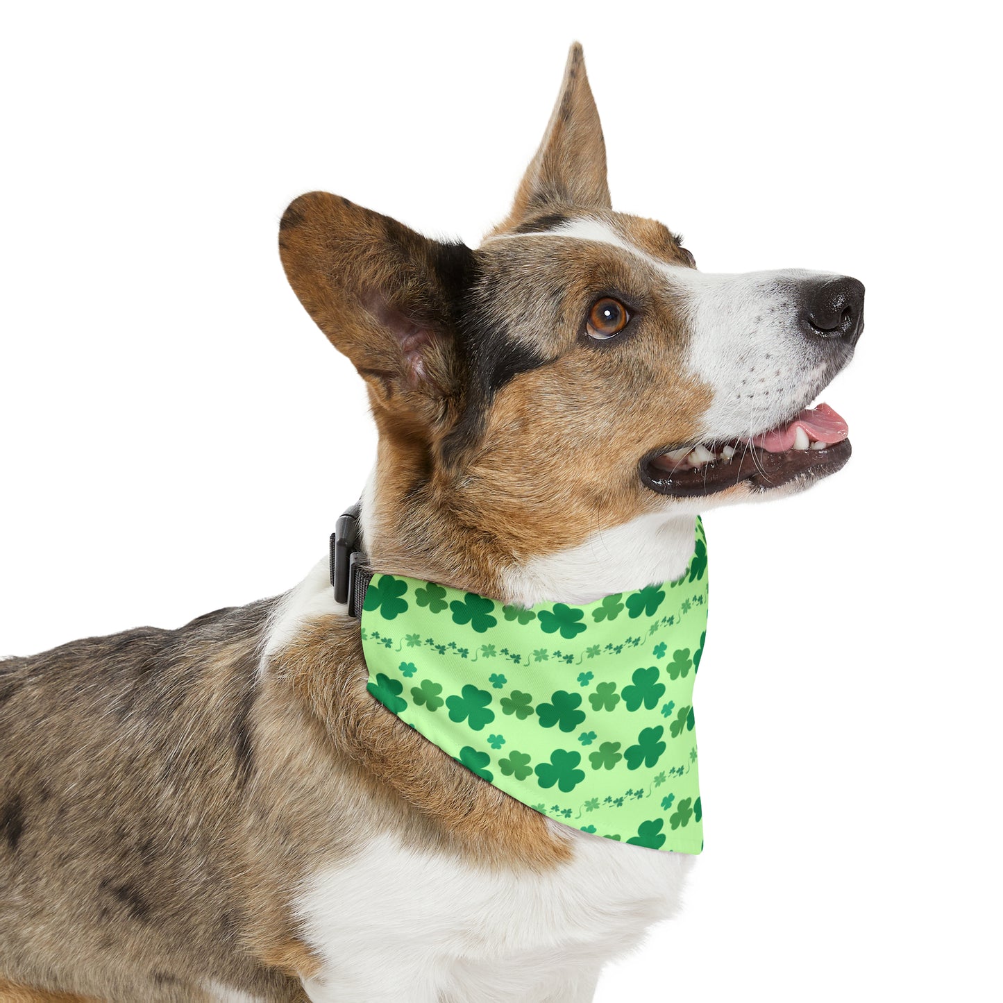 Shamrock - Pet Bandana Collar