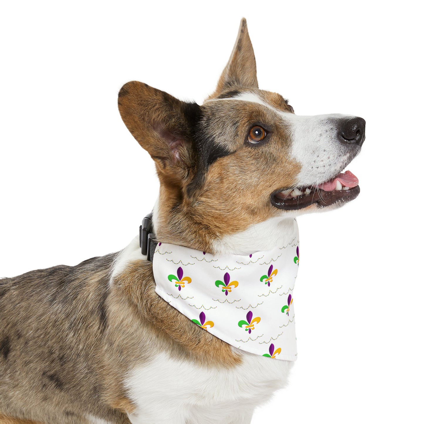 Mardi Gras - Pet Bandana Collar