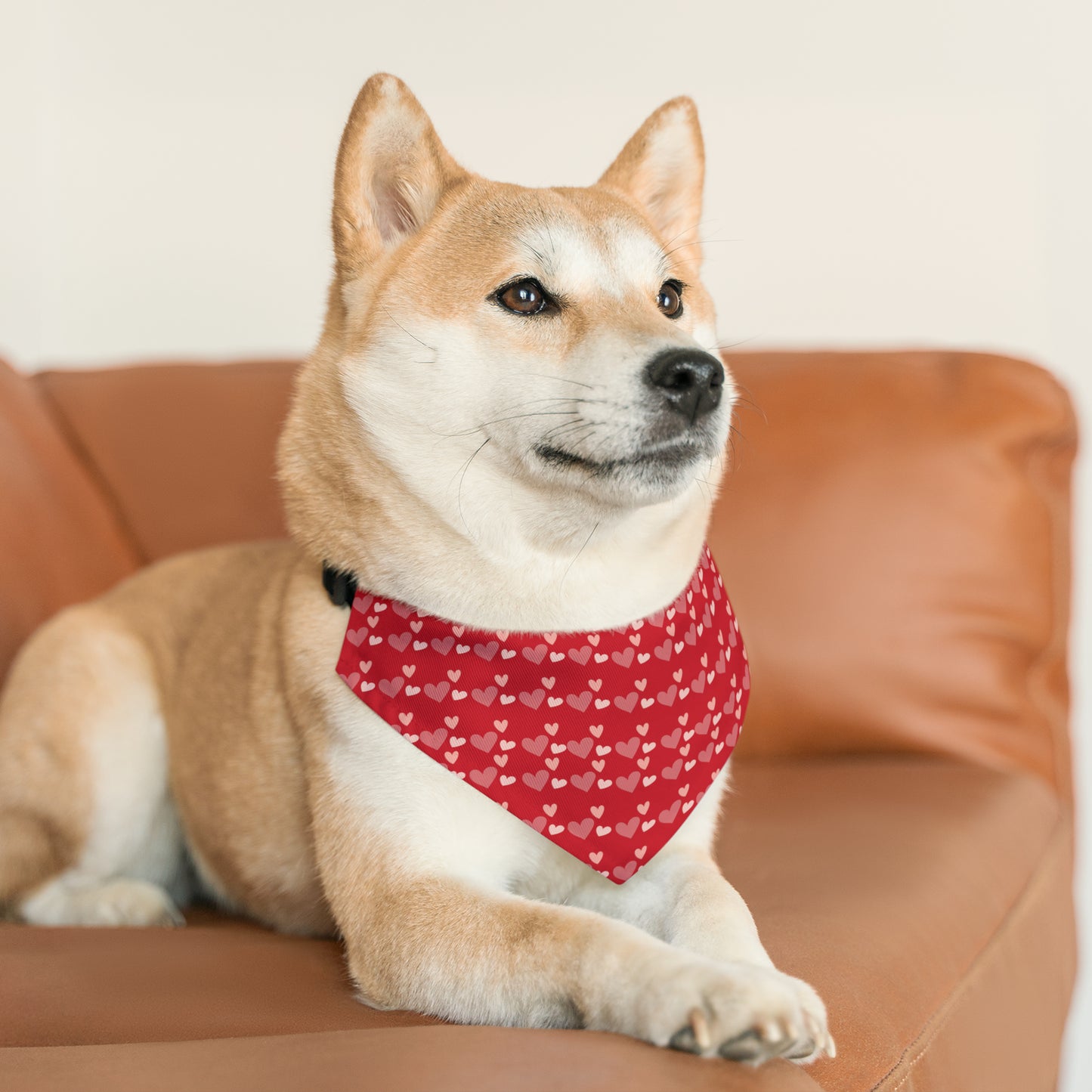 Valentines Hearts - Pet Bandana Collar