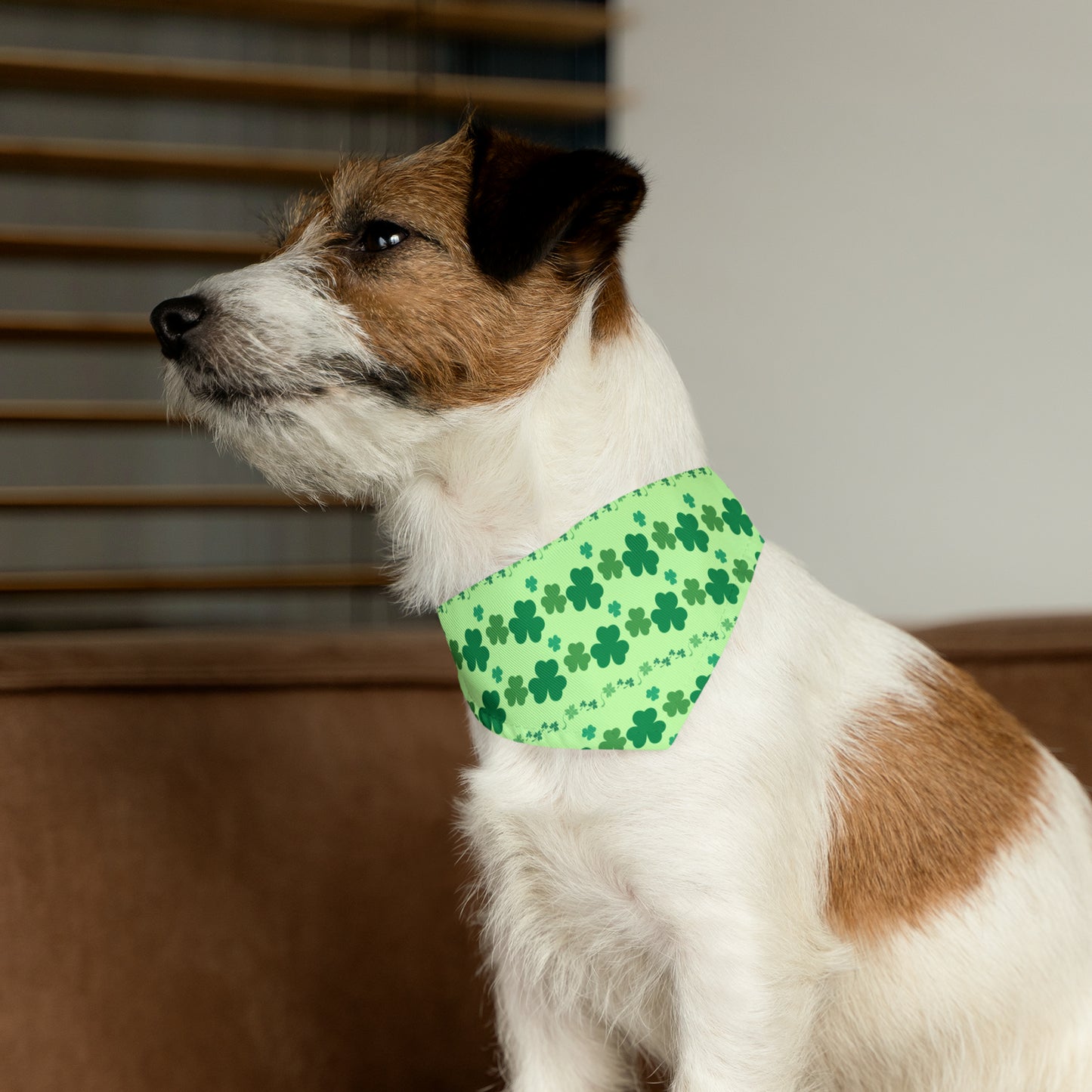 Shamrock - Pet Bandana Collar