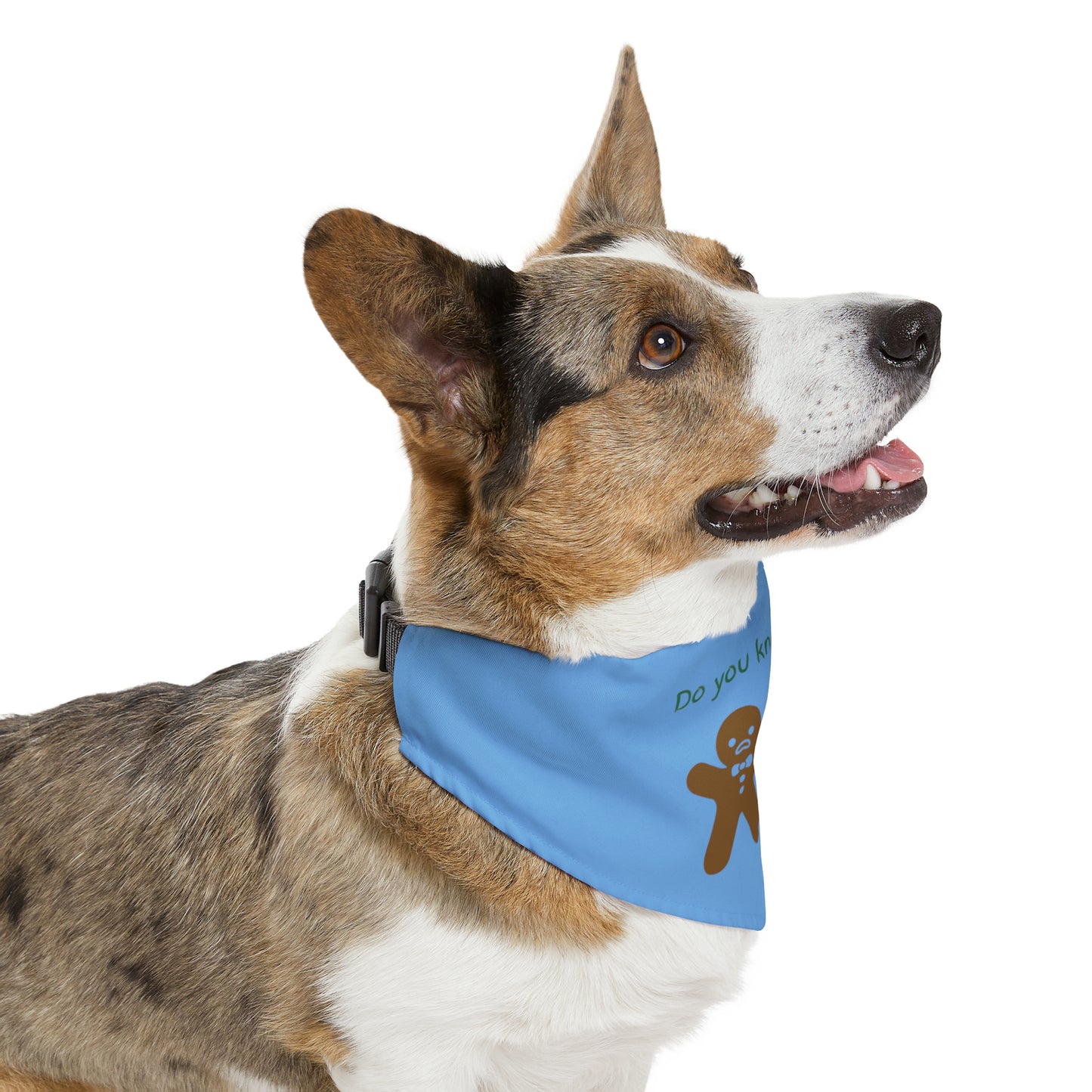 The Muffin Man - Pet Bandana Collar